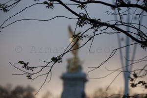 20130426_550312